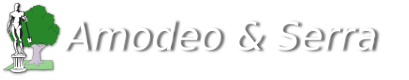 Amodeo & Serra